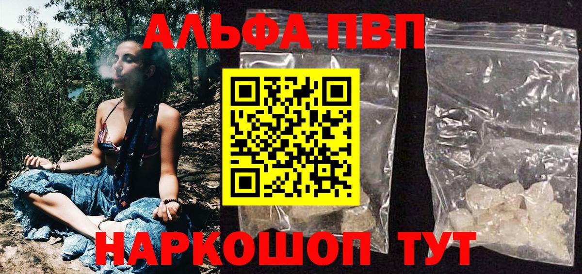 ГАШ Кингисепп