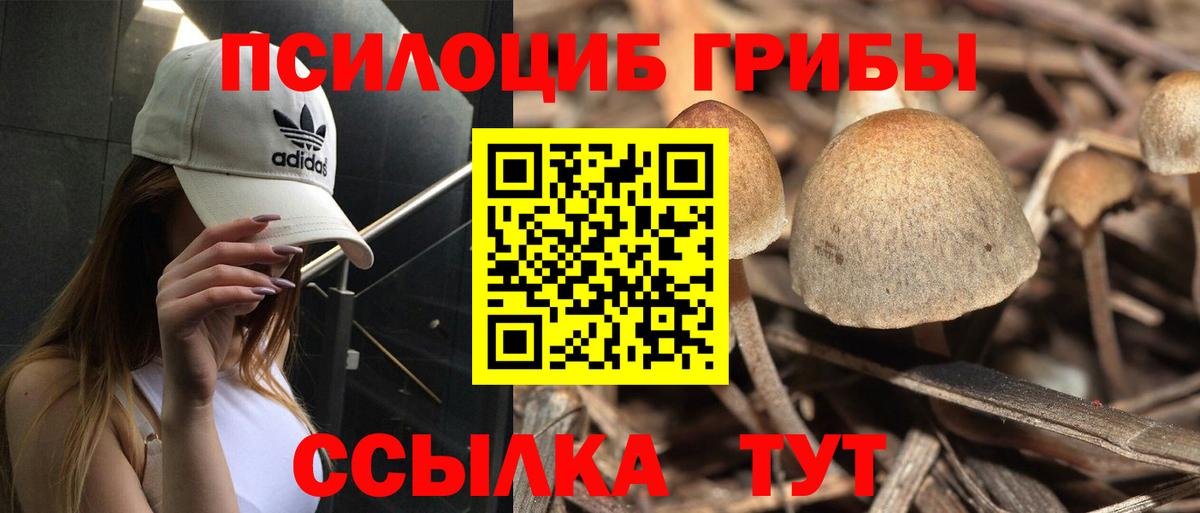 Кингисепп  Псилоцибиновые грибы MAGIC MUSHROOMS  Вход с VPN  Галлюциногенные грибы Magic Shrooms 